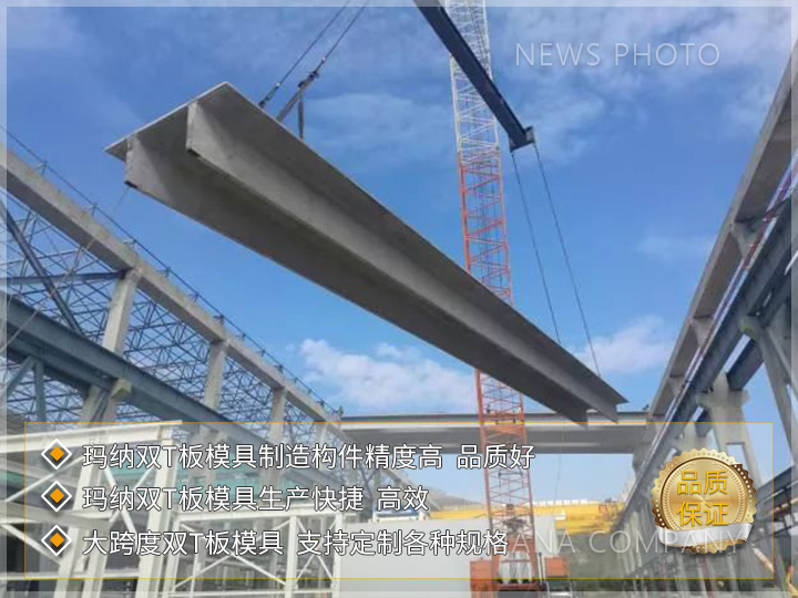 1718702569887141.jpg 雙T板模具03.jpg